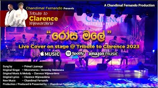 Rosa Malay Live Cover  quotTribute to Clarence 2023quot by Chandimal Fernando [upl. by Bolger576]