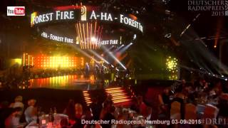 aha live  Forest Fire HD Deutscher Radiopreis Hamburg 03092015 [upl. by Willcox707]