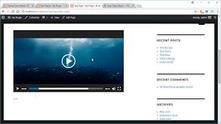 Easy Video Player Plugin for WordPress [upl. by Yrret]