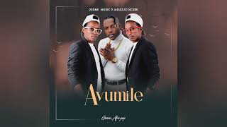 2Some Musik ft Mduduzi Ncube  Avumile Official Audio [upl. by Demmahum]