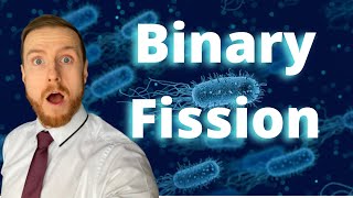 BINARY FISSION AQA ALevel Biology 2022 [upl. by Morry]