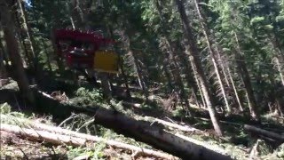 Kleinseilbahn für Durchforstung Eigenbau überarbeitet [upl. by Sandry884]