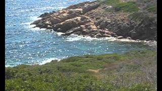 ISOLA DEL GIGLIO  SPIAGGE SENTIERI E PAESAGGI [upl. by Atiuqel]