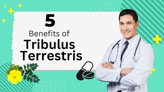 5 Benefits of Tribulus Terrestris [upl. by Alael]