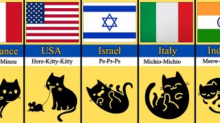 Comparison How People Call Cats In Different Countries [upl. by Henden]