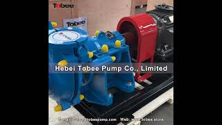 Tobee® Equivalent 100DL Slurry Pump with high chrome [upl. by Vickie200]