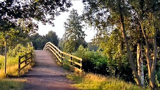 Tour durch den Bokeler Volkspark in Papenburg [upl. by Becki]