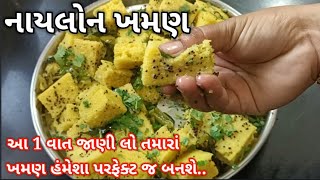 એકદમ સરસ નાયલોન ખમણ  Nylon khaman Recipe In Gujarati  gujarati khaman [upl. by Akirahc]