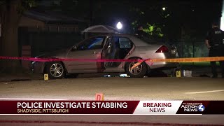 Stabbing near Mellon Park [upl. by Ymmac]