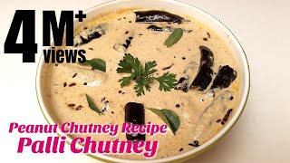 Palli Chutney  Peanut Chutney Recipe  How to make Chutney  Hyderabadi Ruchulu [upl. by Gatian]