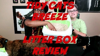 Tidy Cats Breeze Litter Box Review [upl. by Ahsikyt211]