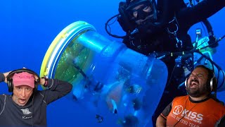 Divers React to Hilarious Fish Collecting deep underwater [upl. by Svend]