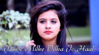 Tumse Milke Dilka Jo Haal  Main Hoon Na  Tiktok Famous Song  2019  Ft Pallabi [upl. by Trabue61]