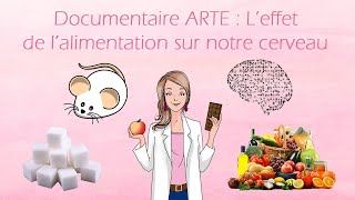 Leffet du sucre sur notre cerveau et notre santé mentale documentaire ARTE [upl. by Llehsad]