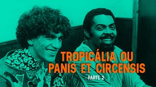 Tropicália ou Panis e Circensis  O Som do Vinil Parte 2 [upl. by Asirrak237]