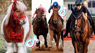 The Cutest HORSES Equestrian TikTok Compilation 149 [upl. by Sola]