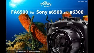 Fantasea FA6500 Housing Promo [upl. by Wilburn]