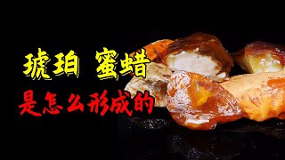 揭秘有机宝石，琥珀amber，蜜蜡的形成，看完你就是玉石专家！ [upl. by Alberto]