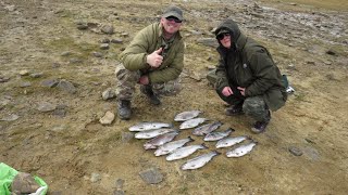 Brilliant Trout Fishing Derwent Reservoir12 fish [upl. by Laet]