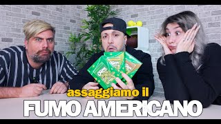 ASSAGGIAMO IL FUMO AMERICANO 😵‍💫 [upl. by Ayanej]