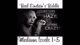 Real Einsteins Riddle medium levels 15 [upl. by Idroj]