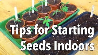 Top Tips for Starting Seeds Indoors [upl. by Uda]