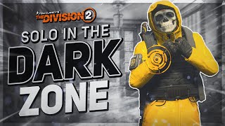 The BEST SOLO DARK ZONE Build in The Division 2 RIGHT NOW [upl. by Reginnej]