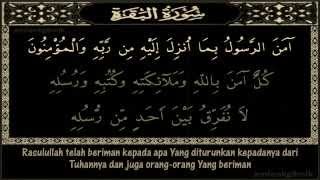 Surah Al Baqarah Amana Rasul Serta Terjemahan ayat 285  286 [upl. by Grefer]