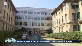 Blatte nella cucina dellospedale  La Vita in Diretta 15062017 [upl. by Daniell]