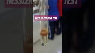 TEST FOR ZERO GROUP WITH NESSLER REAGENT nesslerreagent testforzerogroup chemistrylaboratory [upl. by Enajyram463]