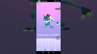 I evolve my Froakie into Greninja inPokémon GoPokémonshortvideoviral [upl. by Sophie]