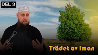 Abdul Wadood Frank  Trädet av Iman  DEL 3 [upl. by Idnem]