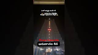 అరుణాచలం గిరి ప్రదక్షిణ చేసేటప్పుడు సిద్ద యోగులు దర్శనం జరుగుతుంది [upl. by Floss697]