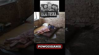 ZABAWA SZAMPA NASTROJE KLAMLIWE SONDAŻE LANS polish shortvideo poland [upl. by Valera]