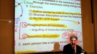 BIOLOGY CYTOLOGY PART 2 by Professor Fink [upl. by Ltihcox]