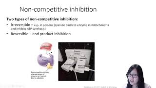 Chapter 33b  Inhibitors  Cambridge ALevel 9700 Biology [upl. by Adnalue710]