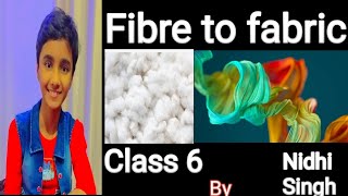 Fibre to fabric class 6  fibre kya hota hai fibre se dhaga kaise banta hai [upl. by Aiekram]