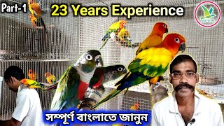 Sun ConureCrimsonBelliedPineappleYellow Sided Conure Breeding Farm VisitKUILA For EVER [upl. by Eedeed426]