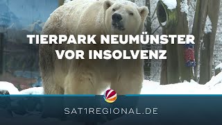 Tierpark Neumünster ist kurz vor der Insolvenz [upl. by Ahtnamys]