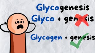 Glycogenesis Gycogenolysis Glycolysis gluconeogenesis How to make sense of the names [upl. by Ailenroc]