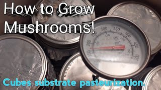 How to Grow mushrooms Cube substrate methodrecipe [upl. by Arny563]