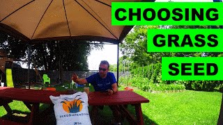 Choosing The Best Grass Seed For a Renovation [upl. by Christoffer607]