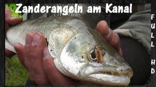 Zanderangeln am Kanal ᴴᴰ [upl. by Julio]