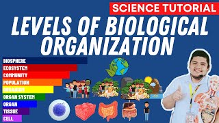 LEVELS OF BIOLOGICAL ORGANIZATION SCIENCE 7 QUARTER 2 MODULE 2 WEEK 3 [upl. by Dyanne658]