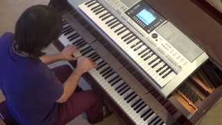 Cedric Gervais  Lana del Rey  Summertime Sadness  piano amp keyboard synth cover by LIVE DJ FLO [upl. by Candace883]