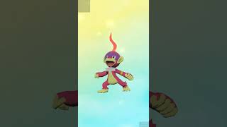 Evolving shiny Chimchar up to Infernape shinypokemon pokemonlegendsarceus [upl. by Eremehc]