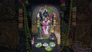 Mecheri 🙏bathrakaliamman 🌿 WhatsApp status Mecheri Bathrakaliamman EDlTZ [upl. by Catlaina]