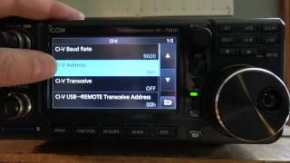 Icom IC 7300  How to configure JT65 [upl. by Leela]