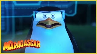 Madagascar en Español Latino  Abandonar la Caza  Clip de Los Pingüinos de Madagascar [upl. by Attenna]