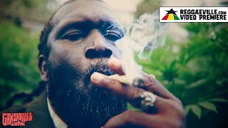 Chezidek  Herb Dealer Ganjaville Riddim  Official Video 2023 [upl. by Lunseth326]